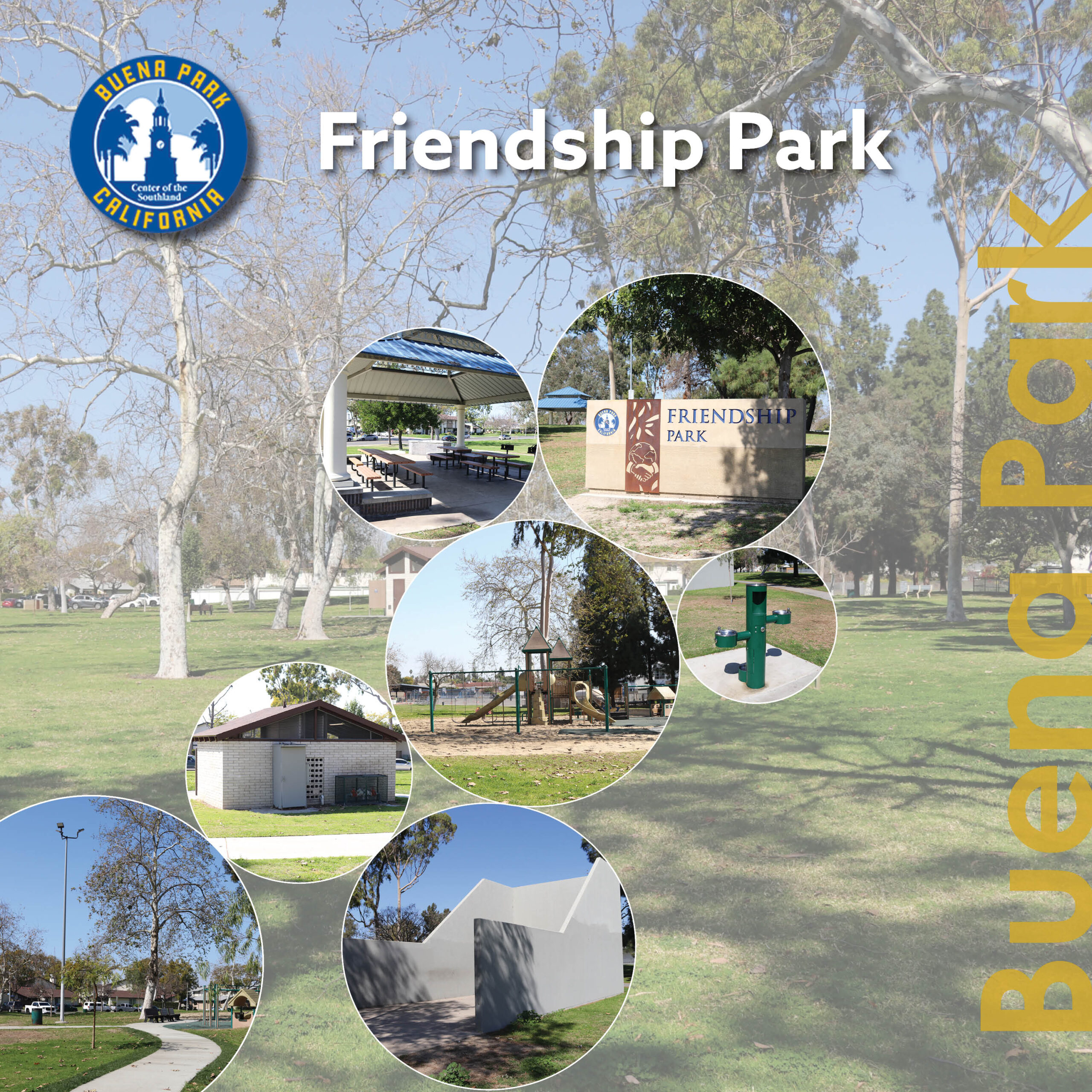 853 09 Friendship Project Graphic scaled